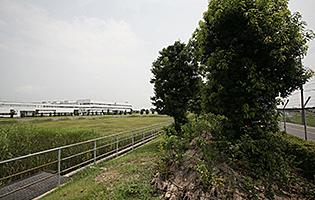 Heiwacho Plant 2010