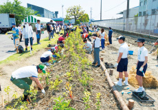 Af forestation Project