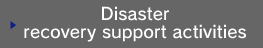 Disaster recovery support activities