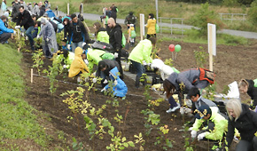 Toyoda Gosei Czech, s.r.o., Czech Republic Planted September 2017