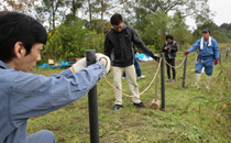 Maintaining a walking path