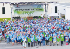 Af forestation Project