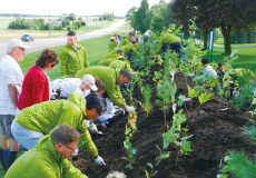 Af forestation Project