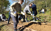 Maintaining a walking path