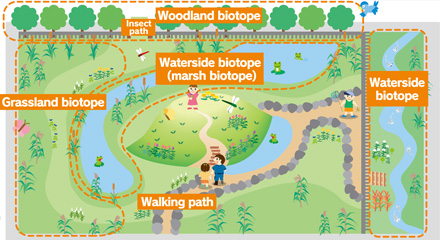 Biotope creation