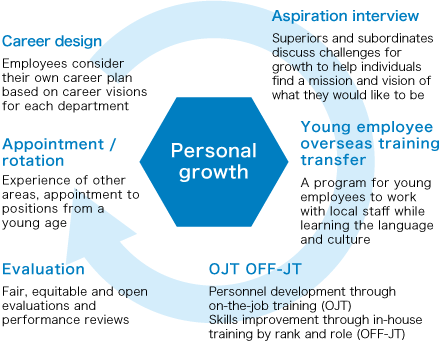 Personnel development cycle