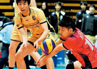 “Trefuerza” volleyball team (currently, Nagoya Wolfdogs)