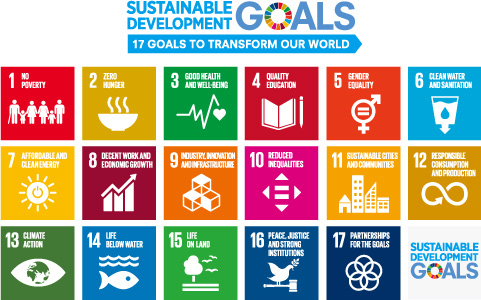 17 GOAL TO TRANSFORM OUR WORLD