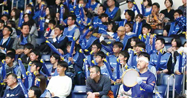 Workplace colleagues cheering for handball team