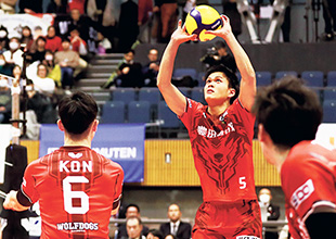 “Wolfdogs Nagoya” volleyball team