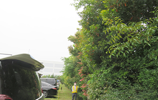 Bisai Plant 2021