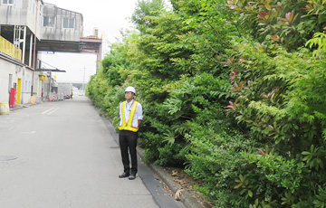 Bisai Plant 2016