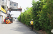 Bisai Plant2018