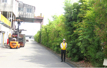 Bisai Plant 2018