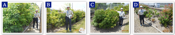 Nishimizoguchi Plant 2018