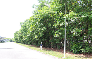 TGHP (Vietnam) 2023