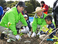 Morimachi Plant