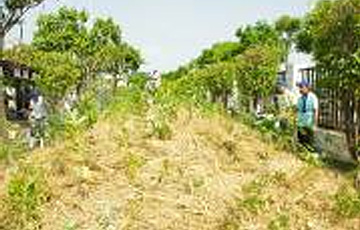 TGFR,TGFP/Foshan TGR, TGP (China) 2012