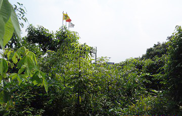 TGFR,TGFP/Foshan TGR, TGP (China) 2013