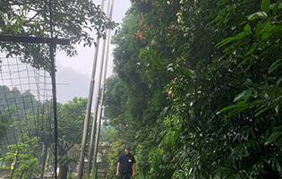 TGFR,TGFP/Foshan TGR, TGP (China) 2024