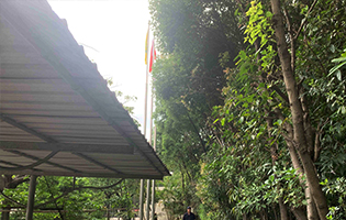 TGFR,TGFP/Foshan TGR, TGP (China) 2025