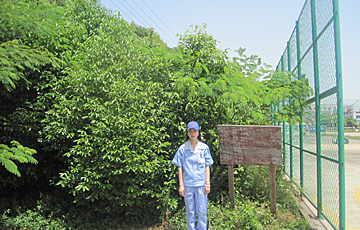 TGZH/Zhiangjiagang TG (China) 2015