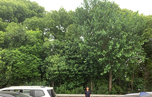 TGZH/Zhiangjiagang TG (China) 2024