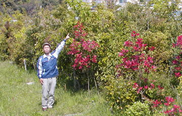 Chusei Gomu Co., Ltd. 2018