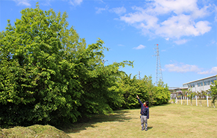 TOYODA GOSEI East Japan Co., Ltd. 2025