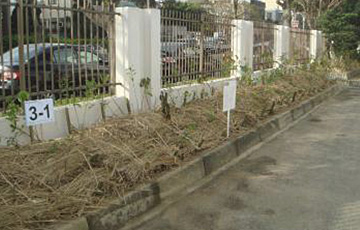 FY/Fong-Yue (Taiwan) 2012