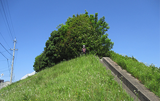 Miyoshi Distribution Center 2024