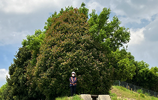 Miyoshi Distribution Center 2025