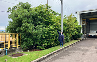 Nishimizoguchi Plant 2024