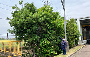 Nishimizoguchi Plant 2025