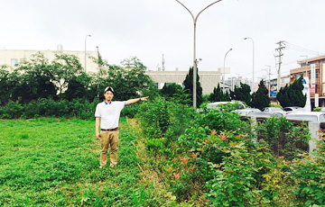 TY/Tai-yue Rubber (Taiwan) 2016