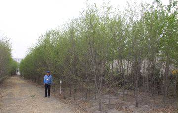 TJTG/Tianjin TG (China) 2014