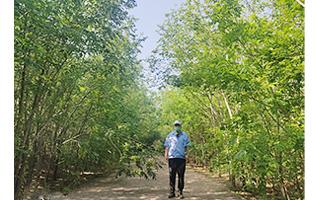 TJTG/Tianjin TG (China) 2020