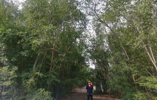 TJTG/Tianjin TG (China) 2024