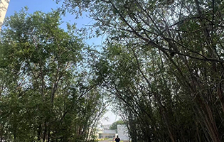 TJTG/Tianjin TG (China) 2025