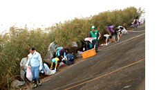 Participation in cleanup activities for the Fujimae Tidal Flat