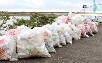 Participation in cleanup activities for the Fujimae Tidal Flat