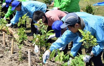 First tree-planting event in Tohoku