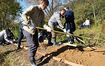 Maintaining a walking path