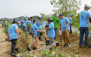 Tree-planting event with local community