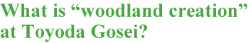 What is “woodland creation” at Toyoda Gosei?