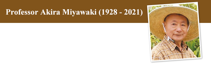 Professor Akira Miyawaki (1928 - 2021)