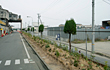 Bisai Plant2010