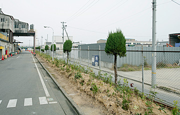 Bisai Plant 2010
