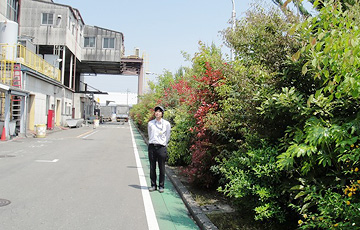 Bisai Plant 2014