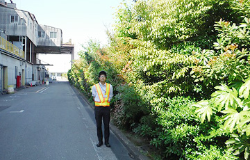 Bisai Plant 2015